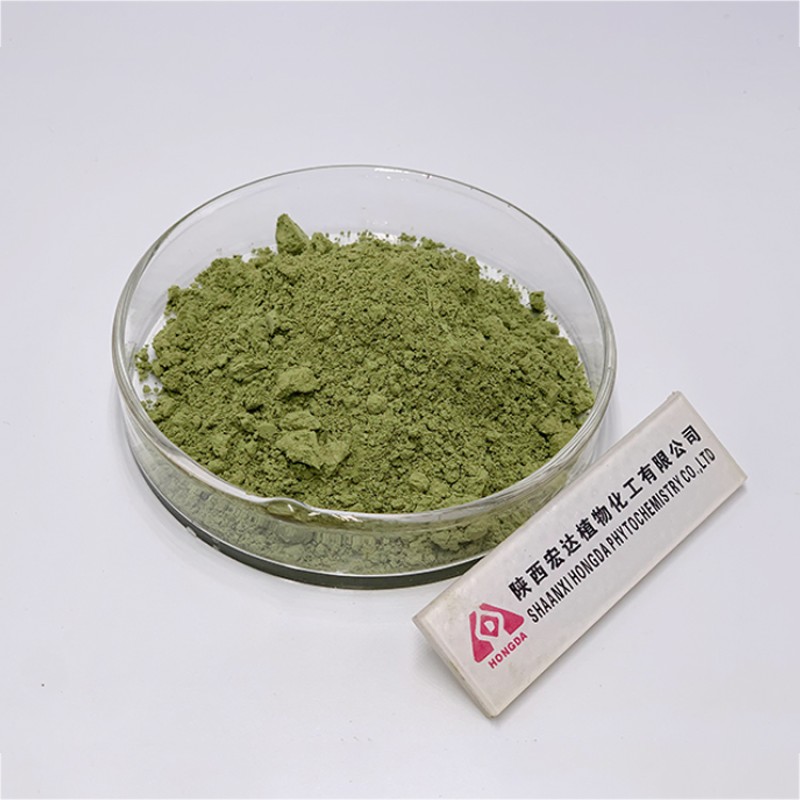 Matcha Powder Factory - Top Quality Pure Natural