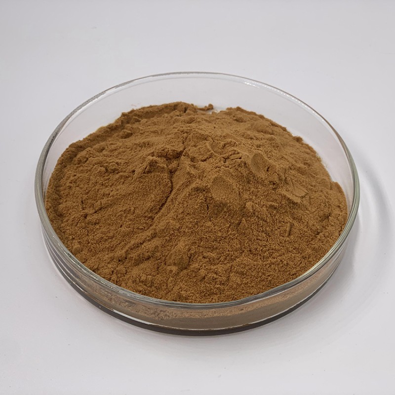 Maitake Mushroom Powder Factory - 50% Polysaccharides 10:1