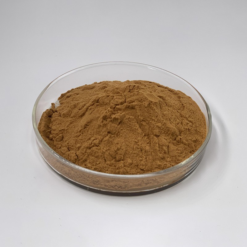 Maitake Mushroom Powder Factory - 50% Polysaccharides 10:1