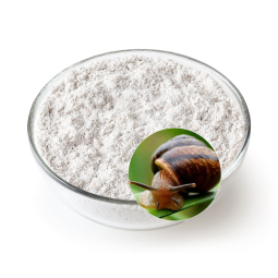 Snail Slime Extract Manufacturer - Powder Cosmetic