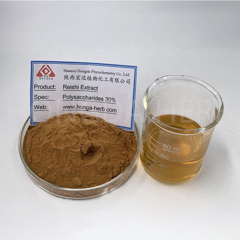 Reishi Mushroom Powder Manufacturer - USDA Organic Extract