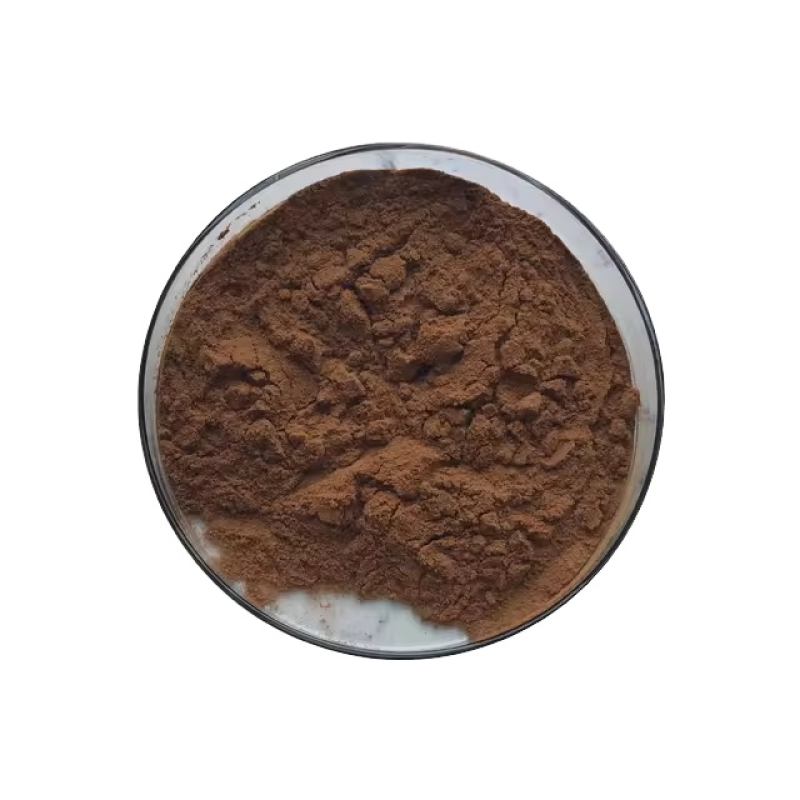 Shiitake Mushroom Powder Supplier - Organic Extract