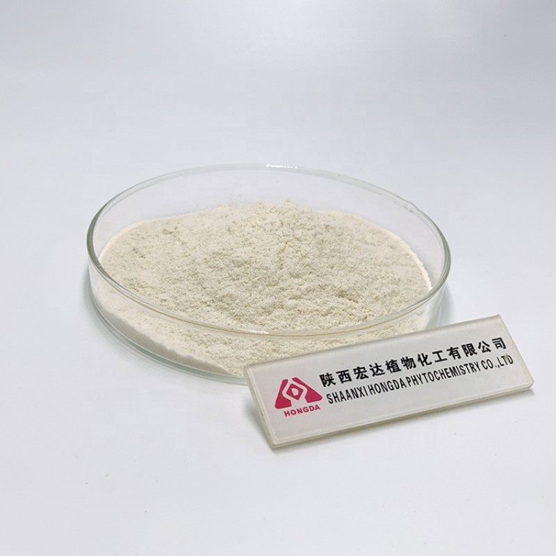 Lemon Juice Powder Factory - Best Price Citrus Extract