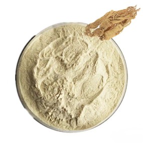 Ginseng Extract Powder Factory - 5%-80% Ginsenosides