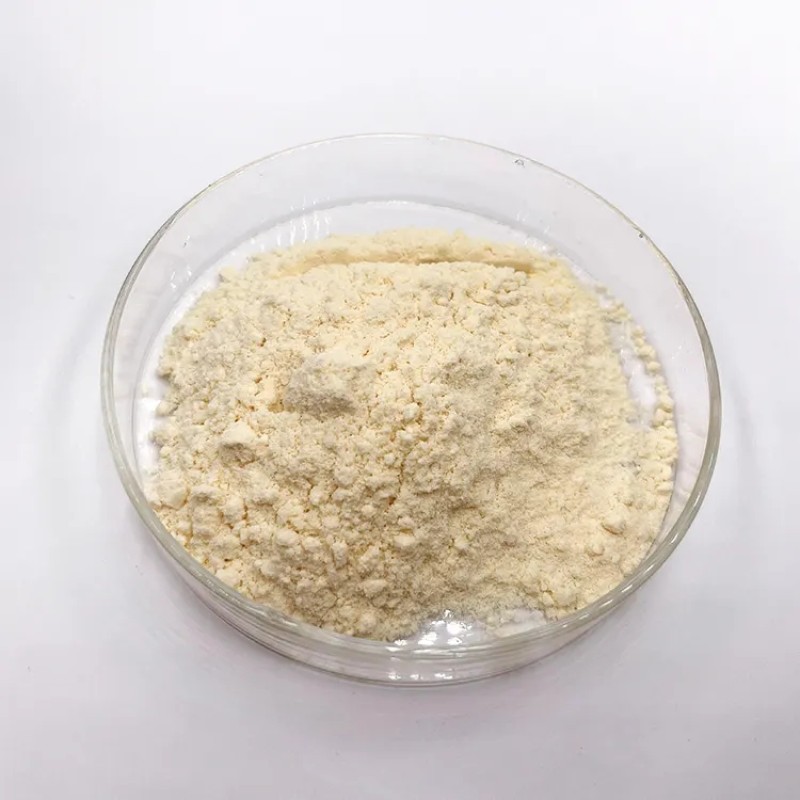 Royal Jelly Powder Supplier - 4% Freeze Dried 10-HDA