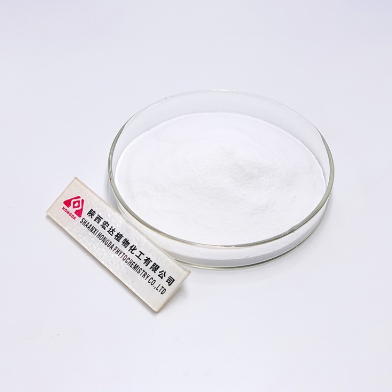 Inulin Powder Manufacturer - 90% Chicory Root Extract