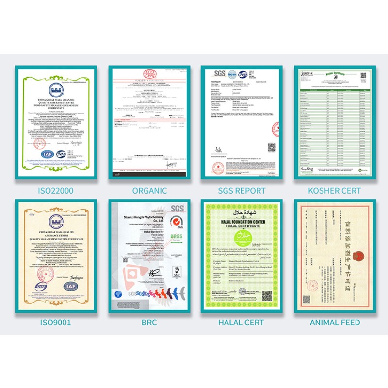 Chaga Mushroom Extract Factory - 30% 50% Polysaccharides