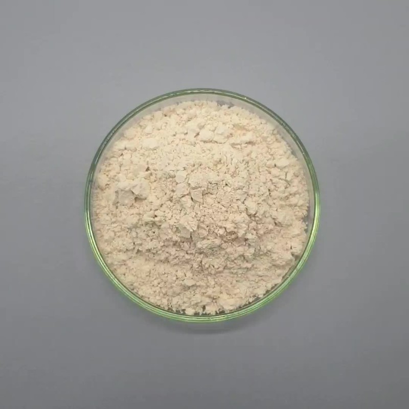 Monk Fruit Sweetener Manufacturer - Mogroside V Extract