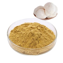 Hericium Erinaceus Powder Factory - 10:1 Mushroom Extract
