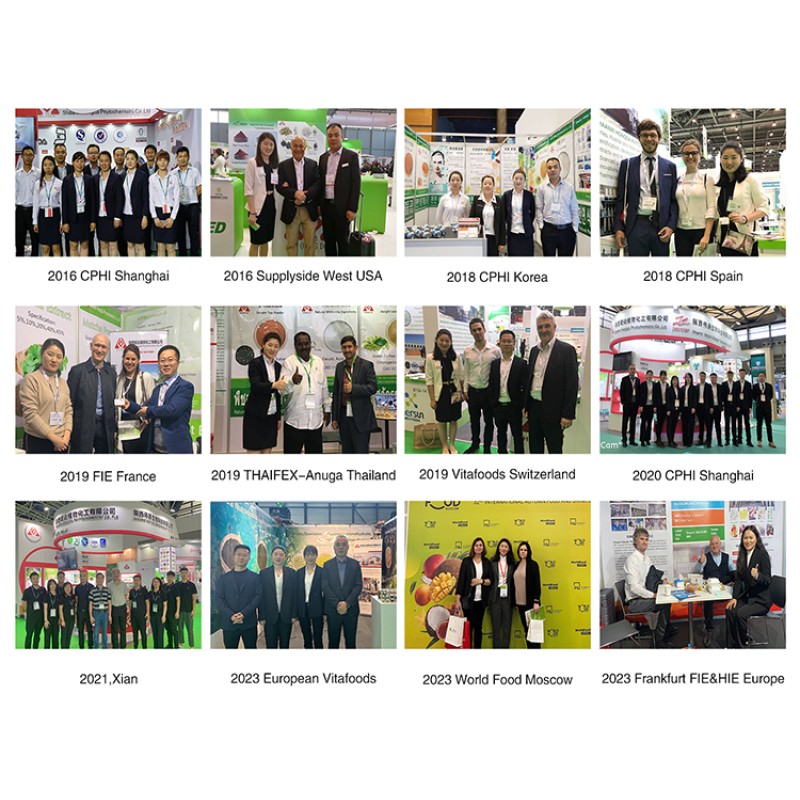 Turmeric Extract Manufacturer - 95% Curcumin Capsules