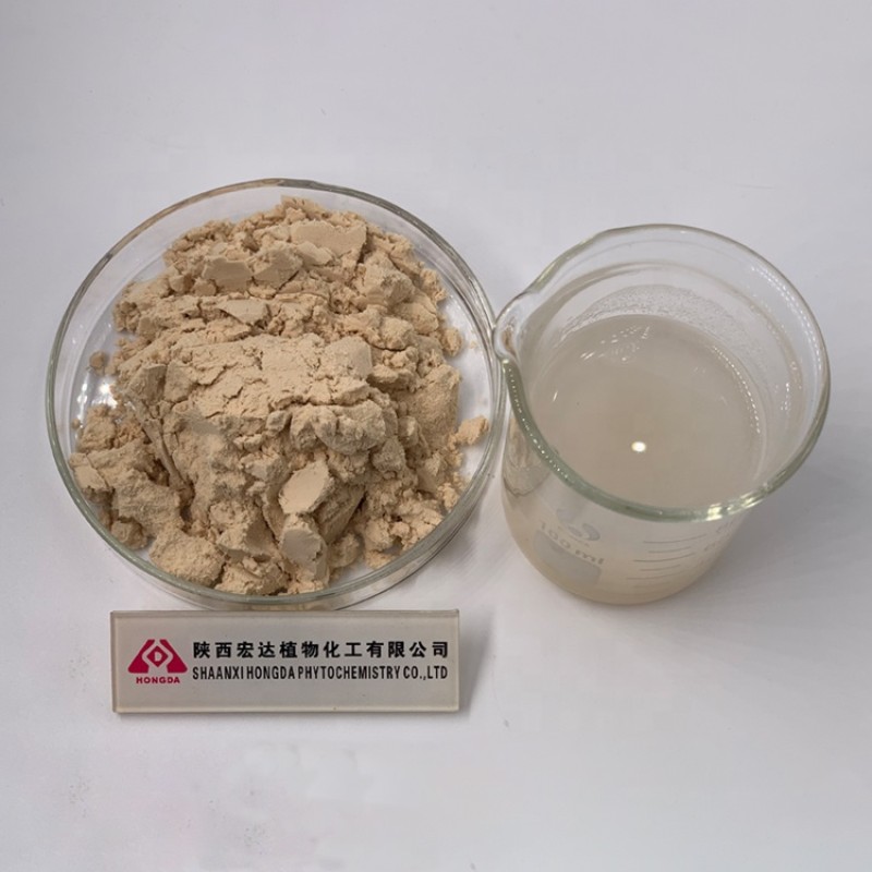 Chickpea Protein Manufacturer - Organic Isolate Powder