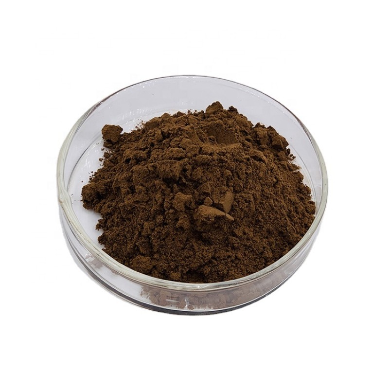 Shiitake Mushroom Powder Supplier - Organic Extract