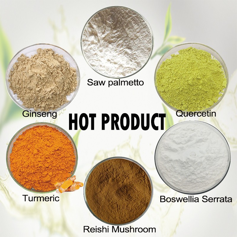 Oat Protein Powder Manufacturer - Beta-Glucan Supplement