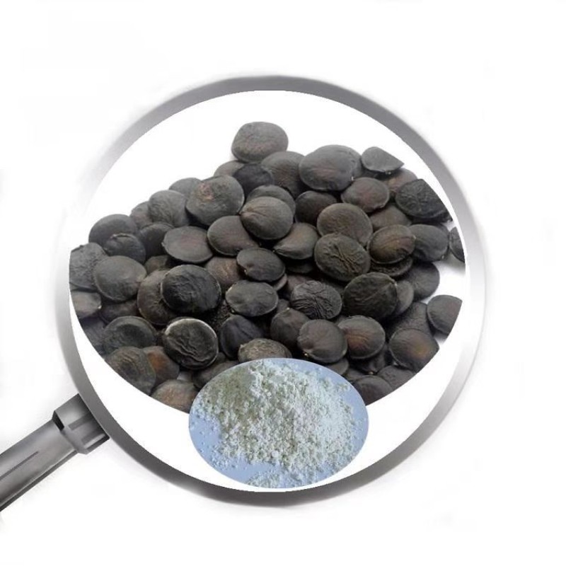 Astaxanthin Oil Supplier - 2% 5% 10% Liquid Softgel