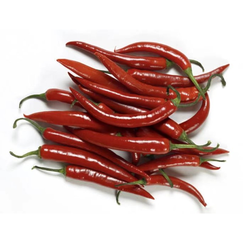 Capsaicin Powder Factory - 99% Pure CAS 404-86-4