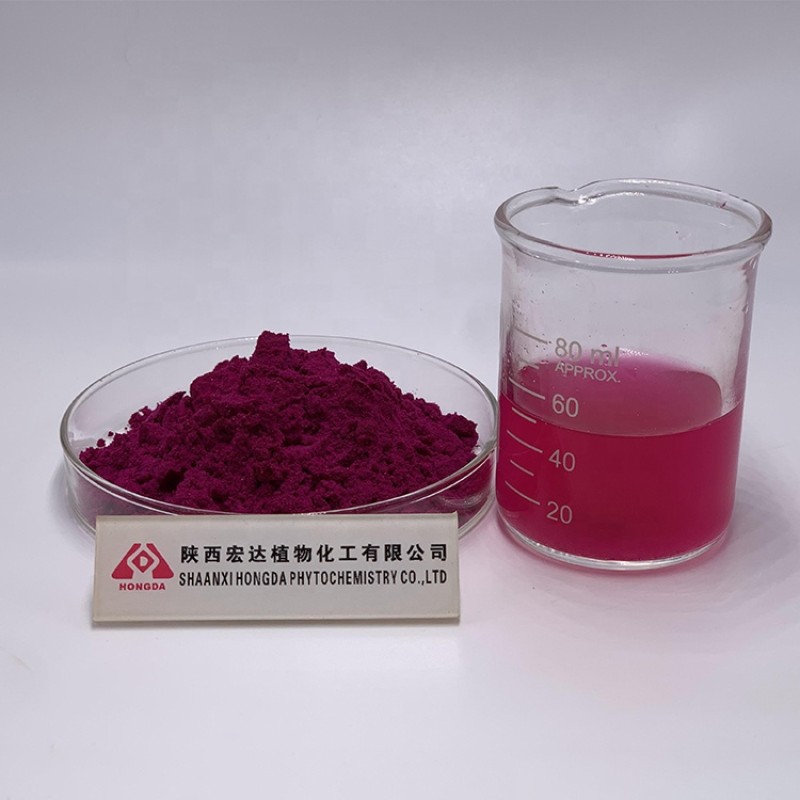 Dragon Fruit Powder Factory - Juice Extract Hot Sales