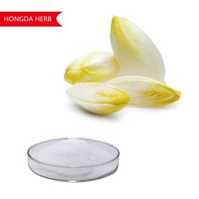 Inulin Powder Manufacturer - 90% Chicory Root Extract