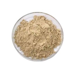 Chickpea Protein Manufacturer - Organic Isolate Powder