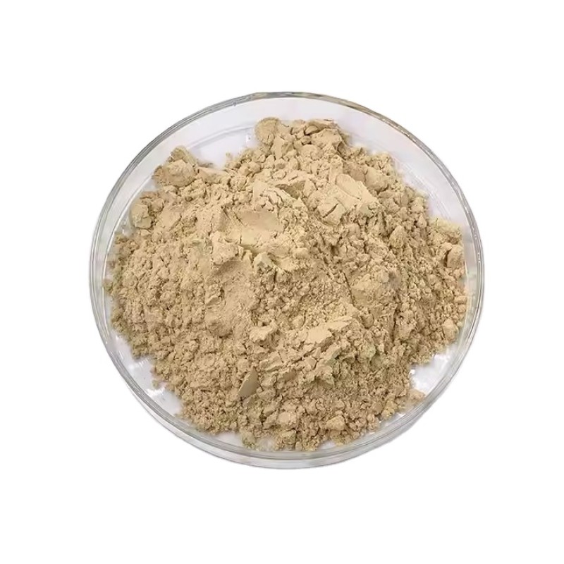 Chickpea Protein Manufacturer - Organic Isolate Powder