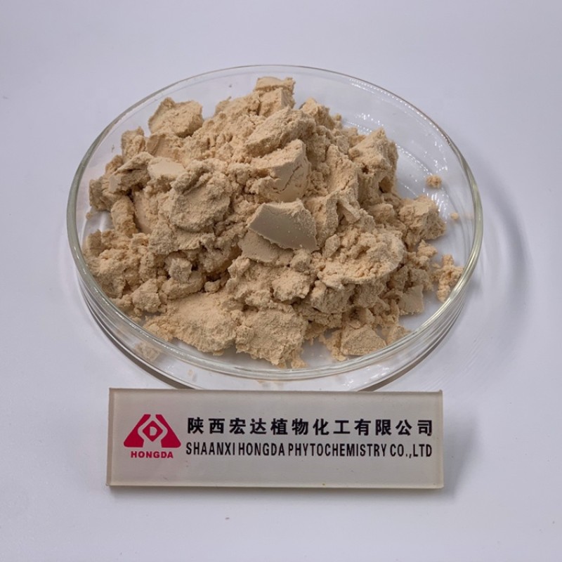 Rice Protein Powder Supplier - 80% Hydrolyzed Food Grade