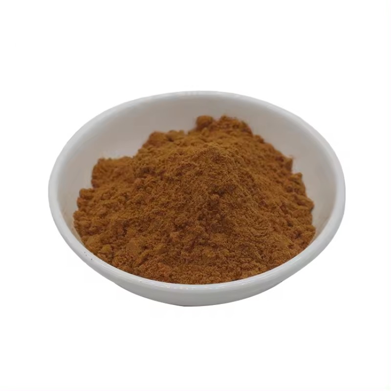 Cordyceps Extract Supplier - 1% Cordycepin Sinensis