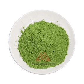 Matcha Powder Manufacturer - Wholesale Ceremonial Grade