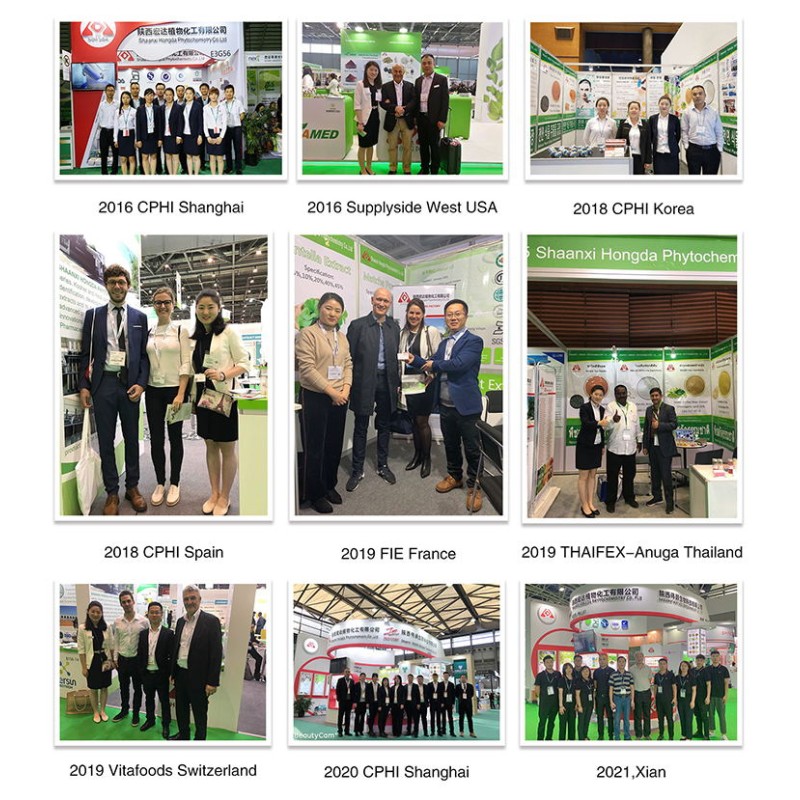 Sea Buckthorn Powder Manufacturer - Fruit Powder Vitamin C