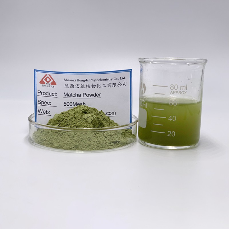 Matcha Powder Factory - Top Quality Pure Natural