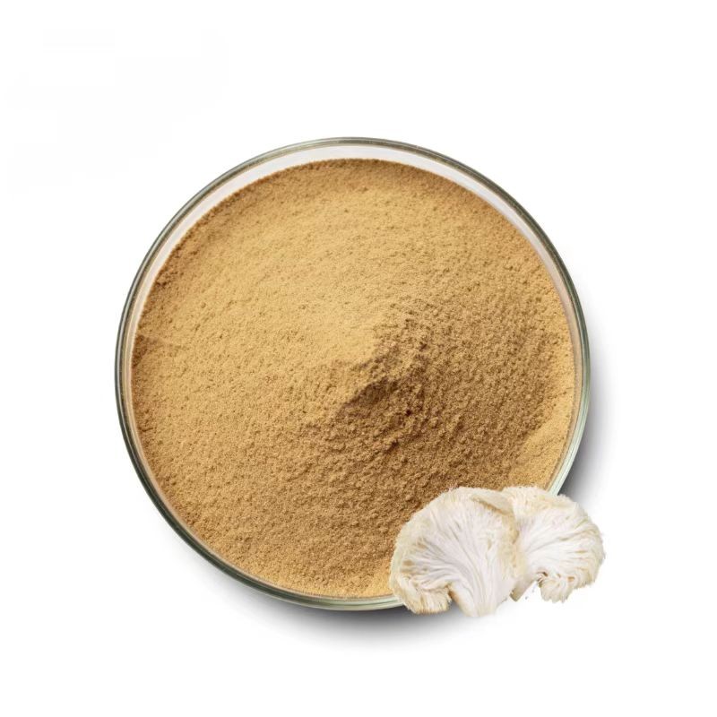 Lion's Mane Extract Supplier - 30% 50% Powder Capsules