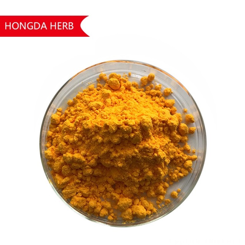 Turmeric Curcumin Extract Manufacturer - 95% Powder Organic
