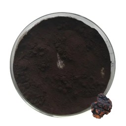 Chaga Mushroom Extract Factory - 30% 50% Polysaccharides
