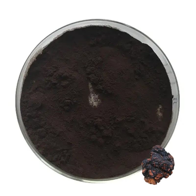 Chaga Mushroom Extract Factory - 30% 50% Polysaccharides