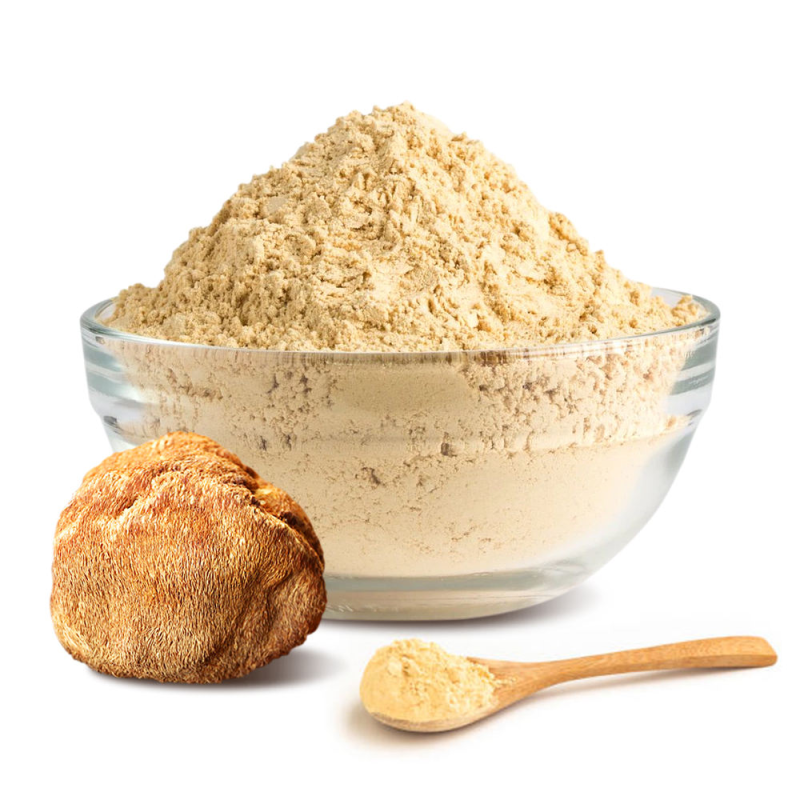 Lion's Mane Powder Supplier - Organic Mushroom Extract