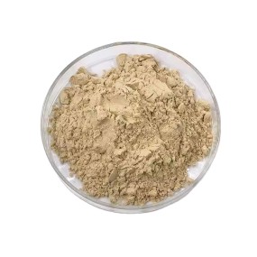 Rice Protein Powder Supplier - 80% Hydrolyzed Food Grade