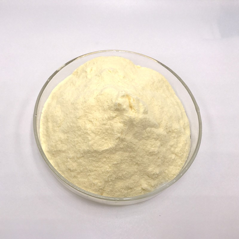 Orange Juice Powder Supplier - Natural Citrus Extract