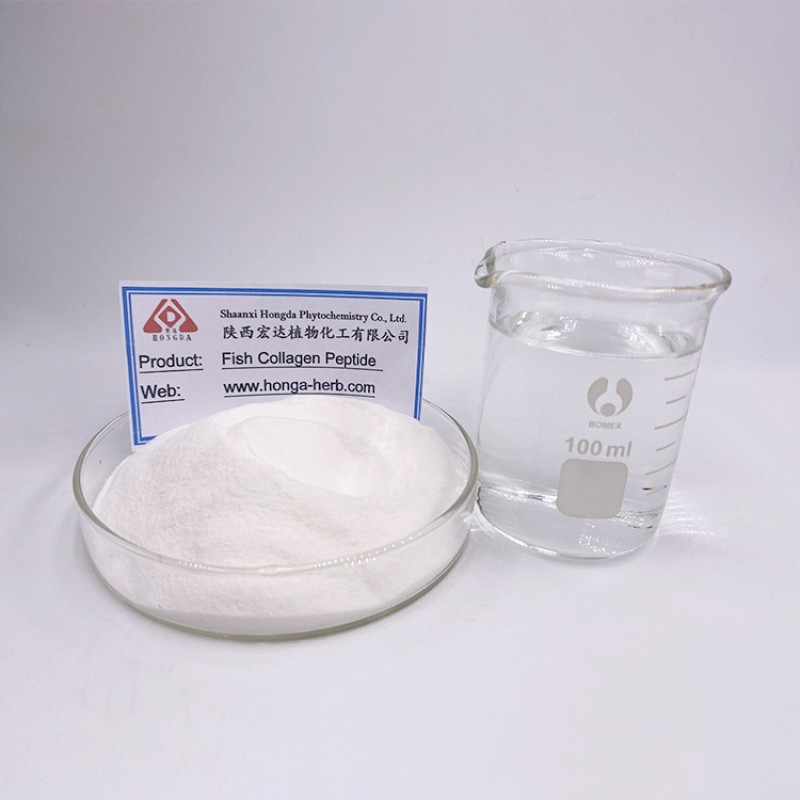Fish Collagen Peptide Supplier - Halal Multi Fish