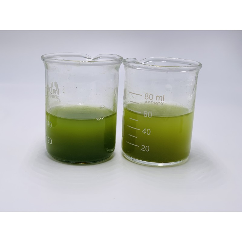 Matcha Tea Powder Manufacturer - Bread Drinks Organic