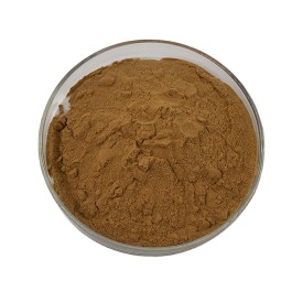 Maitake Mushroom Powder Factory - 50% Polysaccharides 10:1