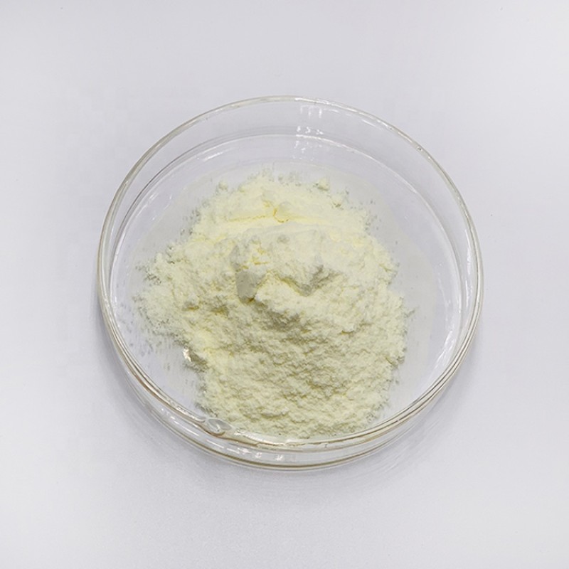 Moringa Powder Factory - Leaf Extract Wholesale