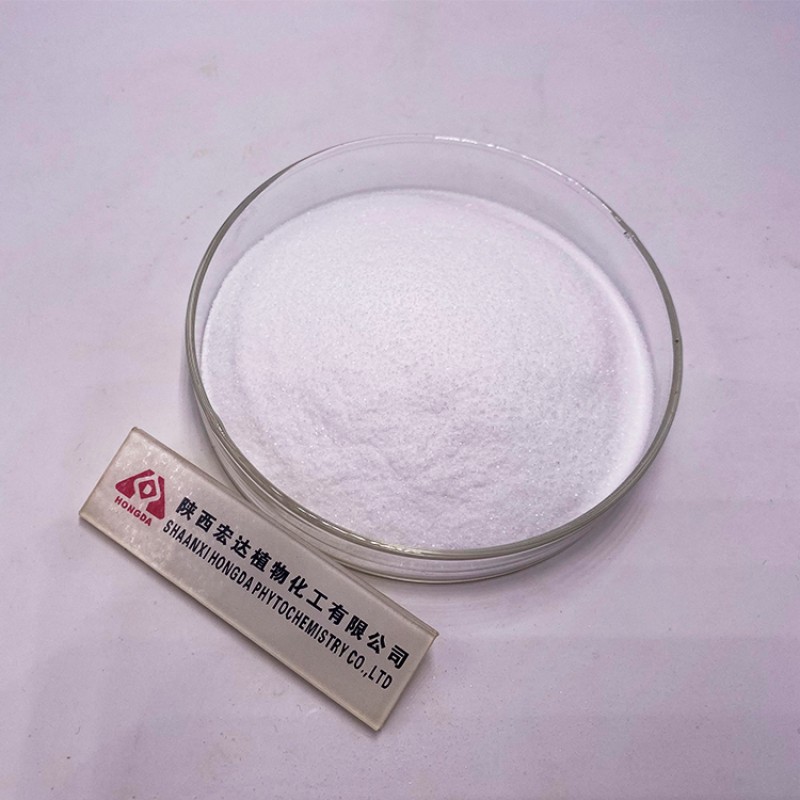 Erythritol Powder Supplier - Zero Calorie Sugar Sweetener