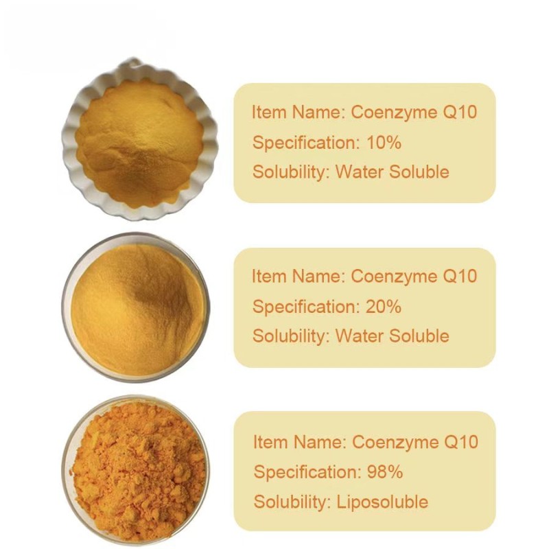 Coenzyme Q10 Supplier - Water Soluble Powder Halal