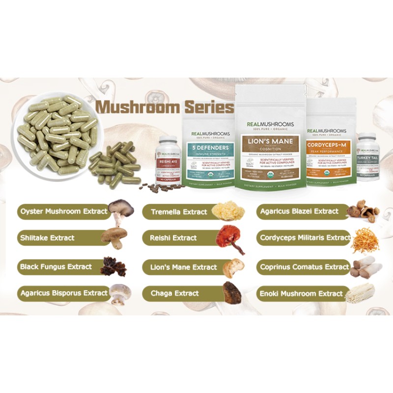 Chaga Mushroom Extract Factory - 30% 50% Polysaccharides