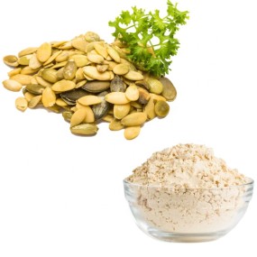 Pumpkin Seed Protein Supplier - Seed Extract Fatty Acid