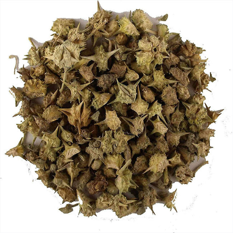 Tribulus Terrestris Extract Manufacturer - Powder Capsules