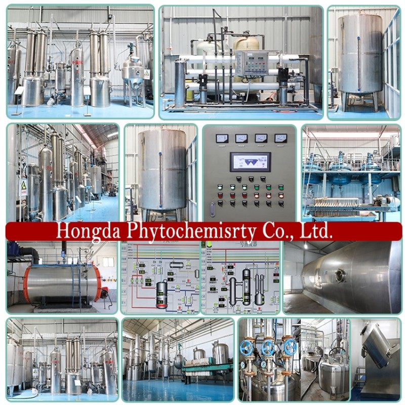 Monk Fruit Extract Supplier - 50% Mogroside V Powder