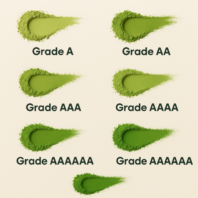 Matcha Powder Factory - Bulk Organic Green Tea