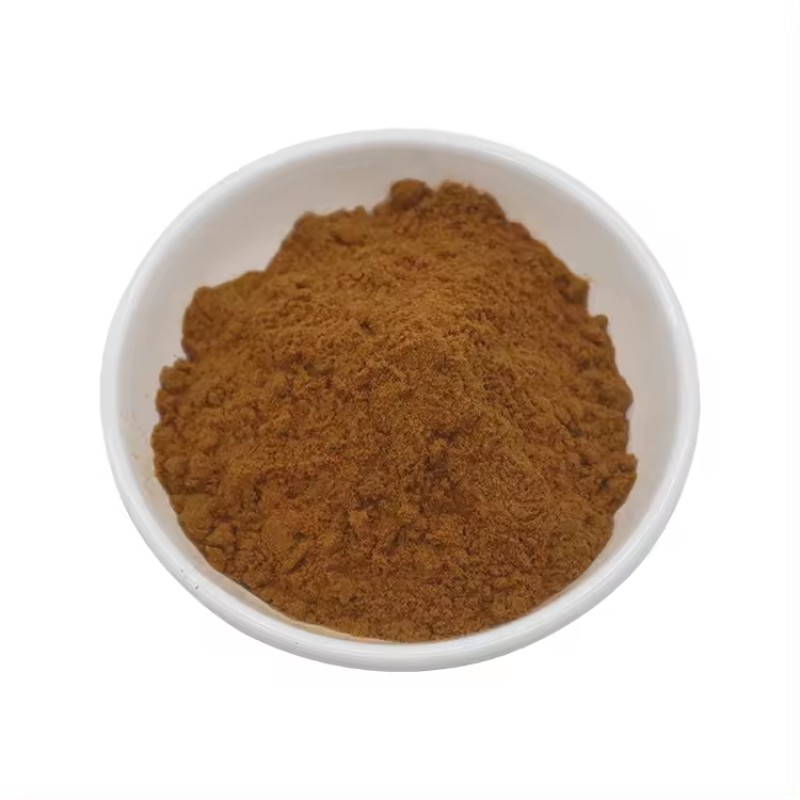Cordyceps Extract Supplier - 1% Cordycepin Sinensis