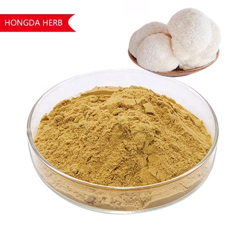Lion's Mane Extract Factory - Custom Packaging OEM
