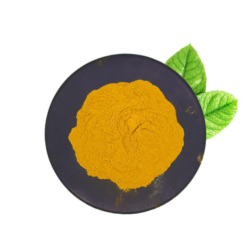 Coenzyme Q10 Supplier - Water Soluble Powder Halal