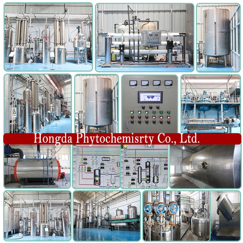 Pumpkin Seed Protein Supplier - Seed Extract Fatty Acid